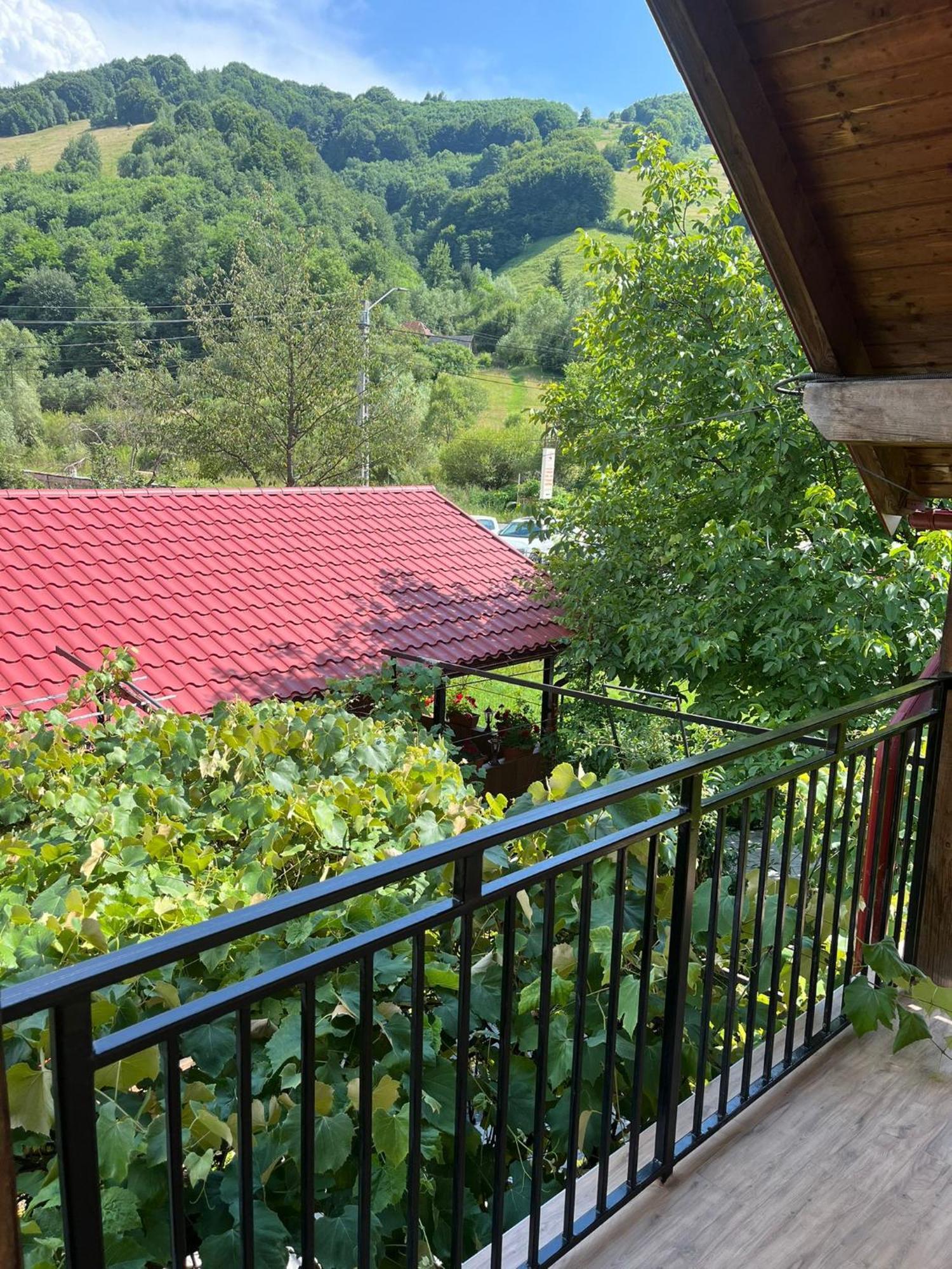 Kilometru108 호텔 Leordina 외부 사진